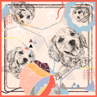Animal 6